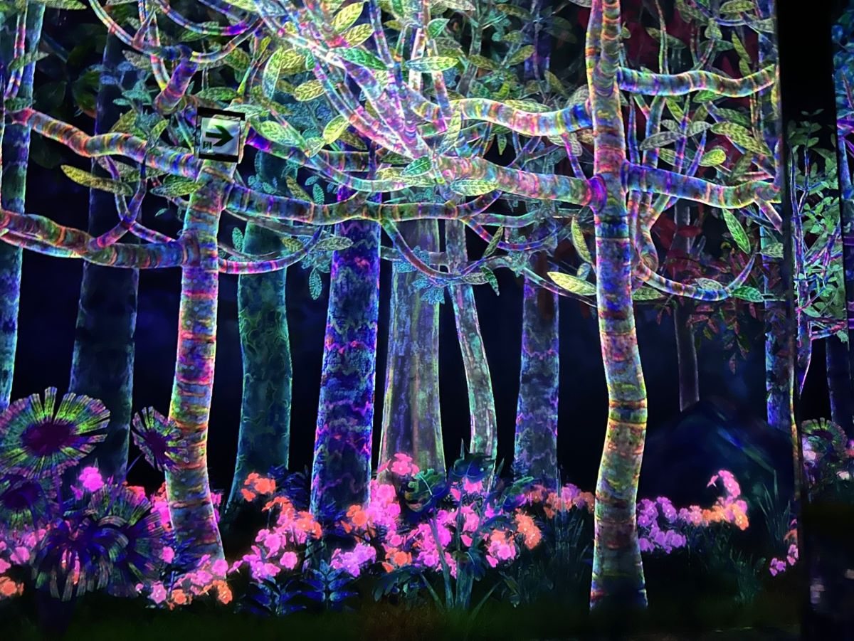 チームラボプラネッツ TOKYO DMM.com（東京・豊洲）が大規模拡張の全貌